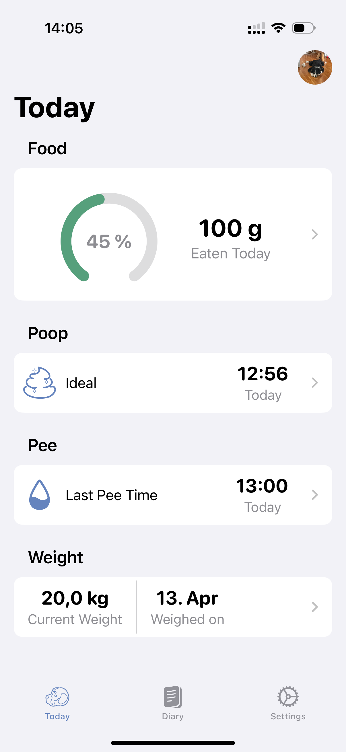 Dogtales Today view screenshot